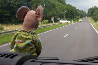 Elvis unterwegs